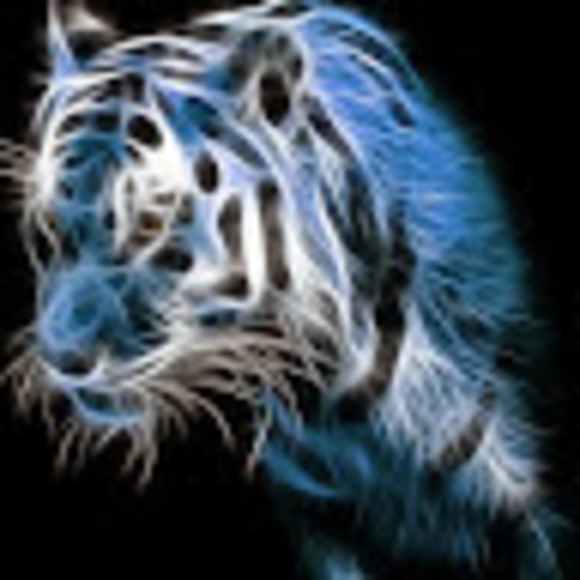 animalboy24